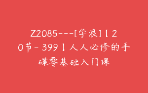 Z2085—[学浪]【20节-￥399】人人必修的手碟零基础入门课