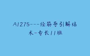 A1275—经筋导引解结术-专长11班