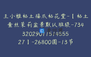 王小雅粘土福爪粘花堂-【粘土垂丝茉莉盆景默认班级-7343202901151455527】-26800圆-13节
