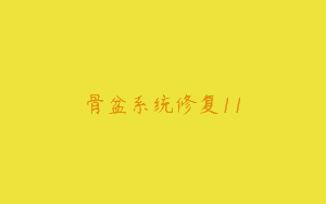 骨盆系统修复11