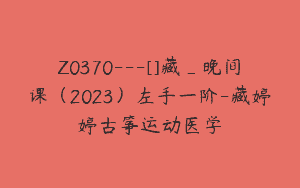 Z0370---[]藏_晚间课（2023）左手一阶-藏婷婷古筝运动医学