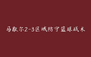 马歇尔2-3区域防守篮球战术
