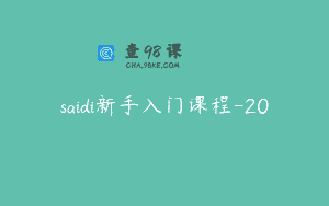 saidi新手入门课程-20