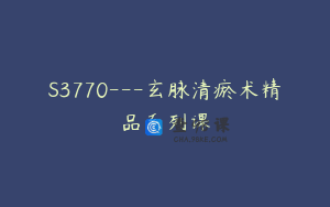 S3770---玄脉清瘀术精品系列课