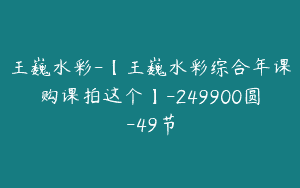 王巍水彩-【王巍水彩综合年课购课拍这个】-249900圆-49节