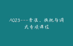 A023—音准、换把与调式专项课程