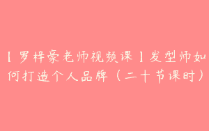 【罗梓豪老师视频课】发型师如何打造个人品牌（二十节课时）