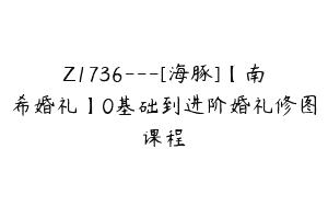 Z1736—[海豚]【南希婚礼】0基础到进阶婚礼修图课程