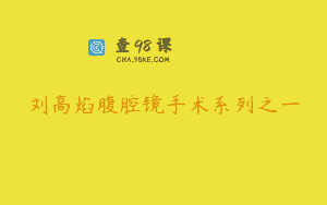 刘高焰腹腔镜手术系列之一