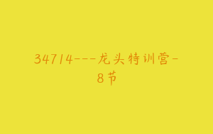 34714---龙头特训营-8节