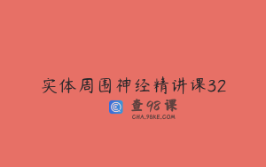 实体周围神经精讲课32