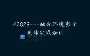 A2029—融合环境影子老师实战培训