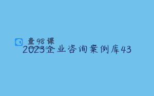 2023企业咨询案例库43
