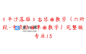 《平沙落雁》古琴曲教学（六阶段-中级琴曲单曲教学）完整版专业13