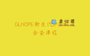 DLHOPE新生代IP亚欧混合染课程