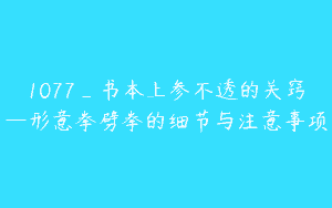 1077_书本上参不透的关窍—形意拳劈拳的细节与注意事项
