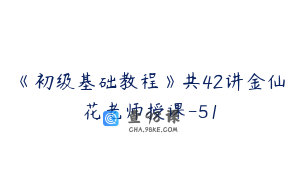《初级基础教程》共42讲金仙花老师授课-51