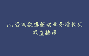1v1咨询数据驱动业务增长实践直播课