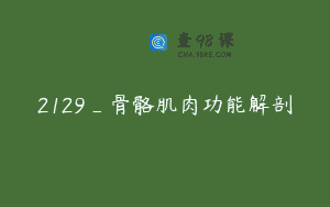 2129_骨骼肌肉功能解剖