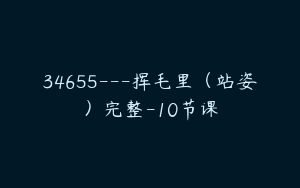 34655---挥毛里（站姿）完整-10节课