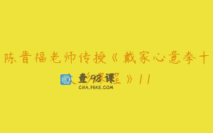 陈晋福老师传授《戴家心意拳十大形课程》11