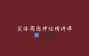 实体周围神经精讲课