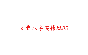 文曾八字实操班85