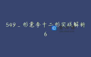 549_形意拳十二形实战解析6