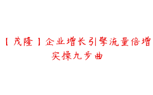 【茂隆】企业增长引擎流量倍增实操九步曲