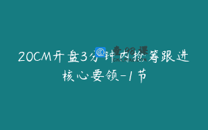 20CM开盘3分钟内抢筹跟进核心要领-1节