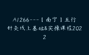 A1266—【南宁】五行针灸线上基础&实操课程2022