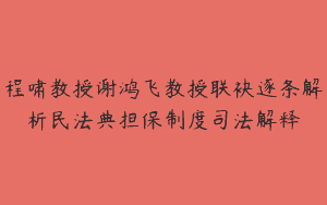 程啸教授谢鸿飞教授联袂逐条解析民法典担保制度司法解释