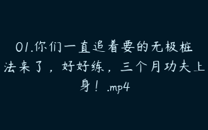 01.你们一直追着要的无极桩法来了，好好练，三个月功夫上身！.mp4