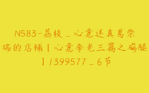 N583-荔枝_心意述真葛崇瑞的店铺【心意拳老三篇之鸡腿】1399577_6节