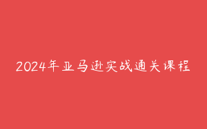 2024年亚马逊实战通关课程