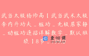 武当太极杨师高【武当武术太极拳内丹功夫_桩功_无极居家静_动桩功逐招详解教学_默认班级】8节_199.0
