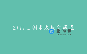 2111_国术太极全课程