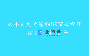 从小白到专家的HRBP必修课_佐尔不群-安平