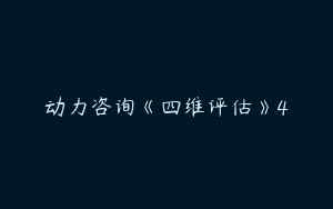 动力咨询《四维评估》4