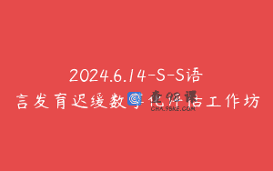 2024.6.14-S-S语言发育迟缓数字化评估工作坊