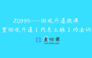 Z0995—回观丹道微课堂回观丹道【内息土脉】功法训练