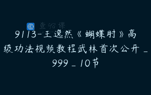 9113-王逸然《蝴蝶肘》高级功法视频教程武林首次公开_999_10节