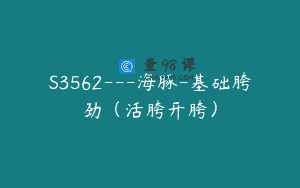 S3562—海豚-基础胯劲（活胯开胯）