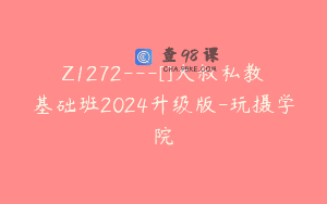 Z1272—[]大叔私教基础班2024升级版-玩摄学院