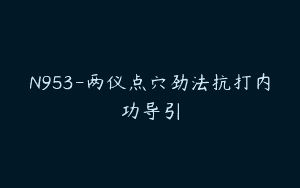 N953-两仪点穴劲法抗打内功导引