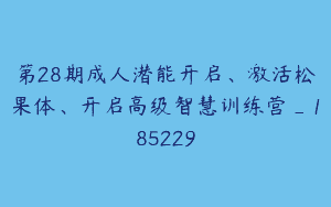第28期成人潜能开启、激活松果体、开启高级智慧训练营_185229