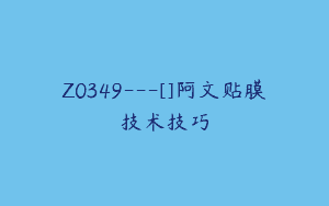 Z0349---[]阿文贴膜技术技巧