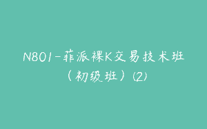 N801-菲派裸K交易技术班（初级班）(2)