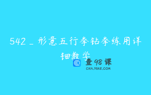 542_形意五行拳钻拳练用详钿教学