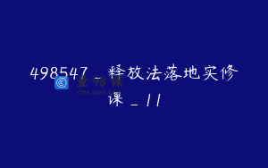 498547_释放法落地实修课_11